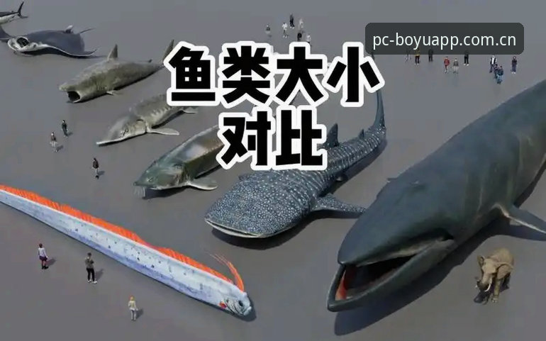 博鱼APP流畅体验怎么下载 博鱼APP电脑版vs手机版全面对比:流畅体验怎么下载?老用户亲测分享