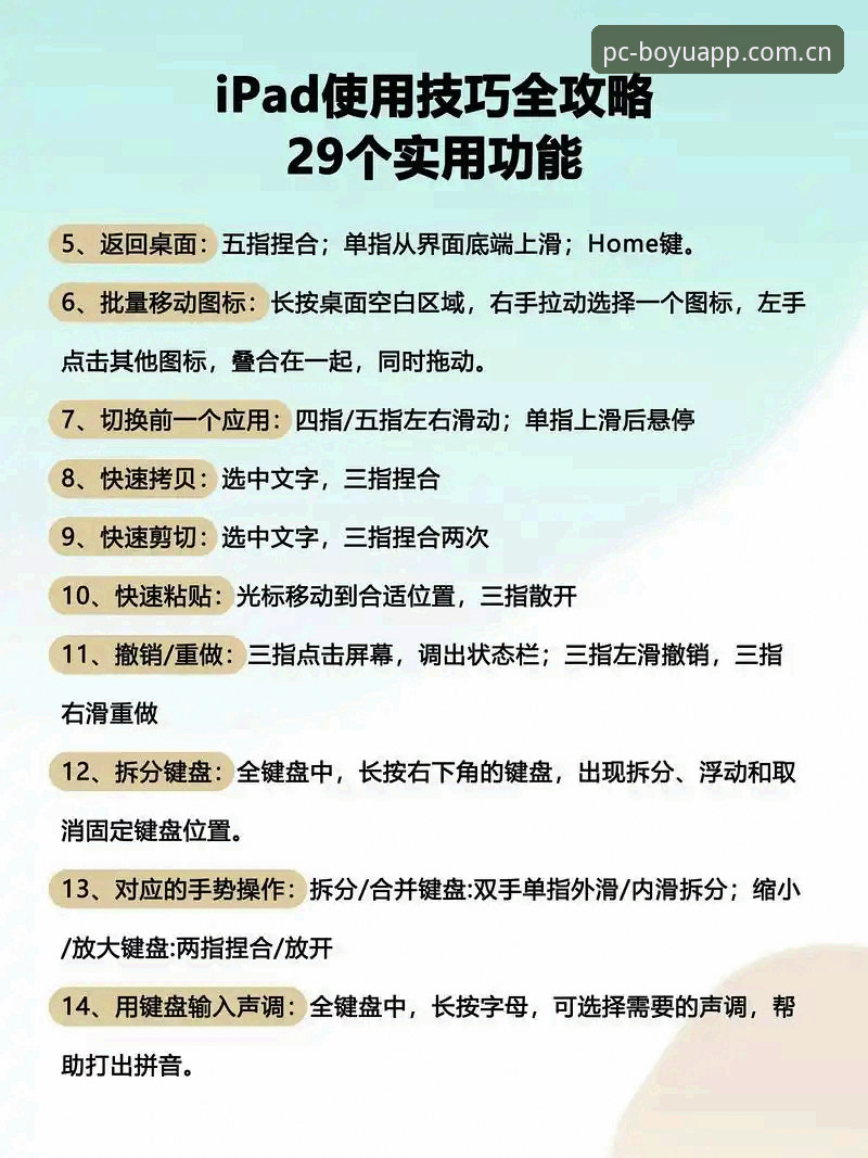 博鱼官方平台使用教程：电脑版与最新版功能对比指南
